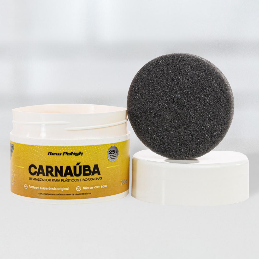 539fc1045945ed9401e36edea31258d2.jpg CARNUBA PARA PLASTICOS 200G